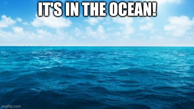Ocean | IT'S IN THE OCEAN! | image tagged in ocean | made w/ Imgflip meme maker