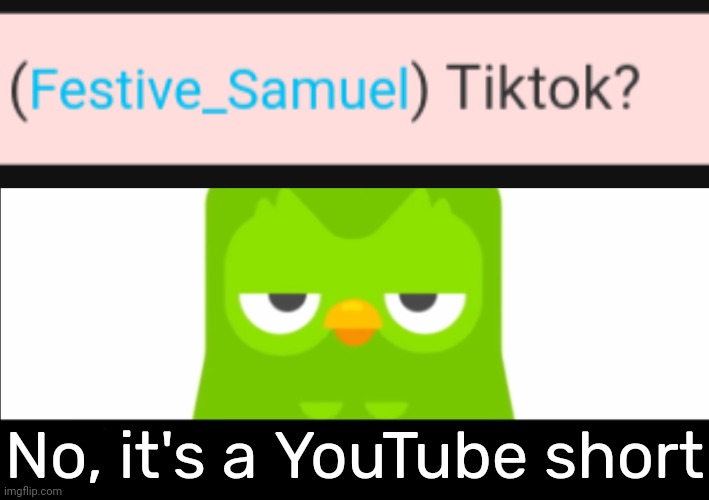 No, it's a YouTube short | image tagged in duolingo was unimpressed | made w/ Imgflip meme maker