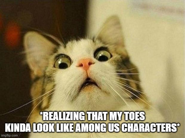 Among Us X_X | *REALIZING THAT MY TOES KINDA LOOK LIKE AMONG US CHARACTERS* | image tagged in memes,scared cat | made w/ Imgflip meme maker