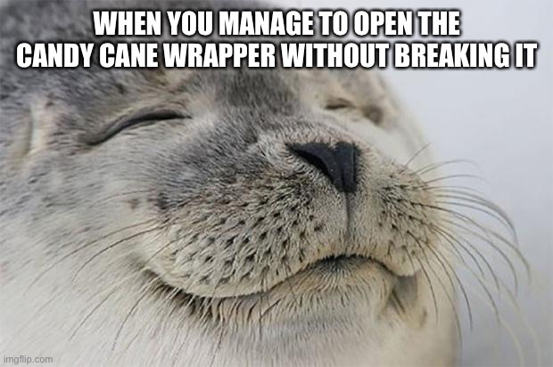 Satisfied Seal | WHEN YOU MANAGE TO OPEN THE CANDY CANE WRAPPER WITHOUT BREAKING IT | image tagged in memes,satisfied seal | made w/ Imgflip meme maker