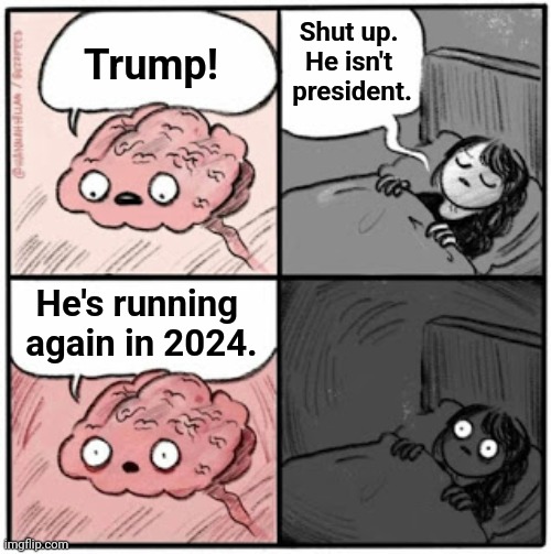 Brain Before Sleep | Trump! He's running 
again in 2024. Shut up. 
He isn't 
president. | image tagged in brain before sleep | made w/ Imgflip meme maker