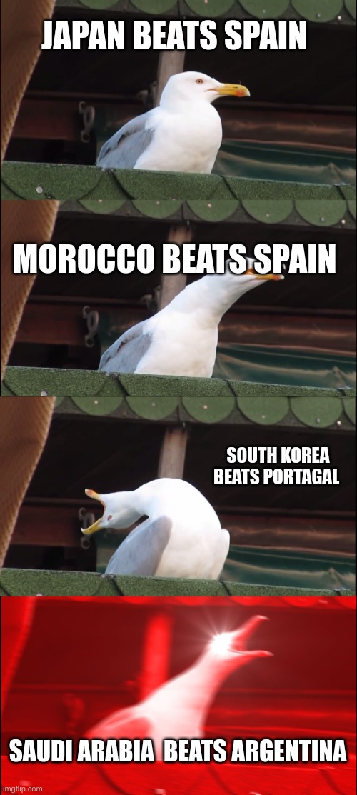 Inhaling Seagull | JAPAN BEATS SPAIN; MOROCCO BEATS SPAIN; SOUTH KOREA BEATS PORTAGAL; SAUDI ARABIA  BEATS ARGENTINA | image tagged in memes,inhaling seagull | made w/ Imgflip meme maker
