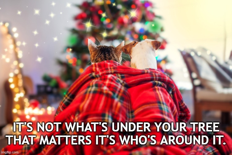 Christmas Pets | IT'S NOT WHAT'S UNDER YOUR TREE THAT MATTERS IT'S WHO'S AROUND IT. | image tagged in dogs,cats,holiday,pets,christmas,merry christmas | made w/ Imgflip meme maker