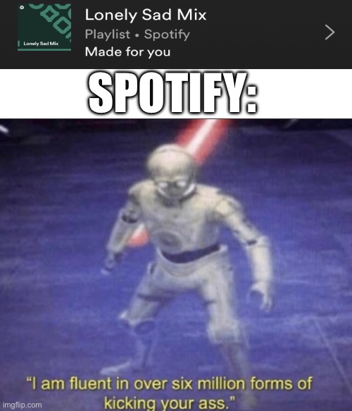 SPOTIFY: | image tagged in insult | made w/ Imgflip meme maker