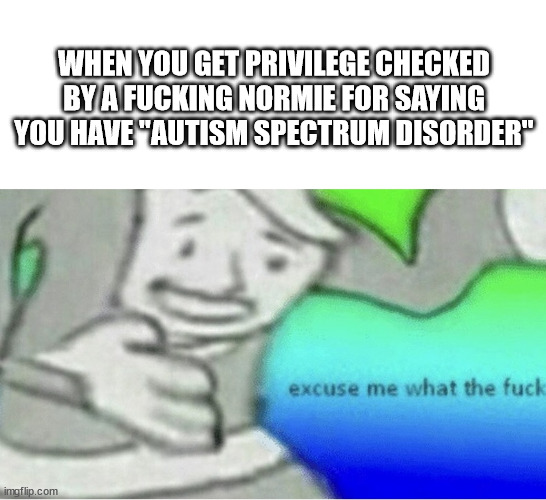 that is fucking retarded... | WHEN YOU GET PRIVILEGE CHECKED BY A FUCKING NORMIE FOR SAYING YOU HAVE "AUTISM SPECTRUM DISORDER" | image tagged in excuse me wtf blank template | made w/ Imgflip meme maker