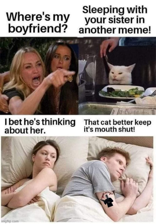 image tagged in memes,two women yelling at a cat,i bet he's thinking about other women | made w/ Imgflip meme maker