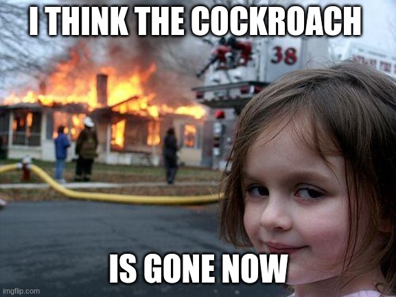 Disaster Girl | I THINK THE COCKROACH; IS GONE NOW | image tagged in memes,disaster girl | made w/ Imgflip meme maker