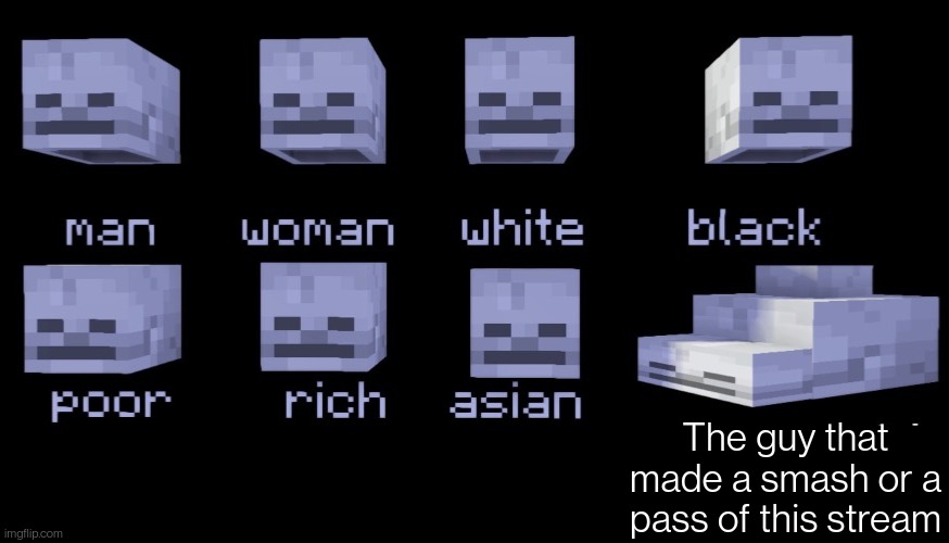 Empty Skulls of truth (Minecraft) | The guy that made a smash or a pass of this stream | image tagged in empty skulls of truth minecraft | made w/ Imgflip meme maker