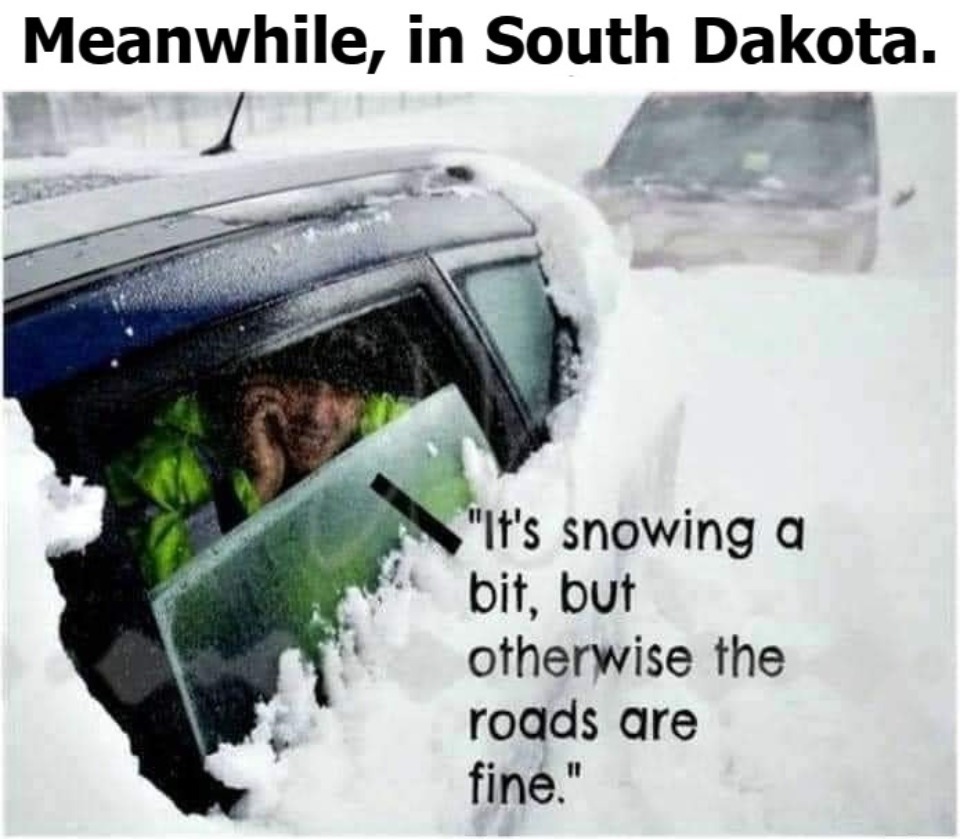 Meanwhile, in South Dakota. No place for pussies or snowflakes. | image tagged in south dakota,blizzard entertainment,snowflakes,frosted flakes,special snowflake | made w/ Imgflip meme maker