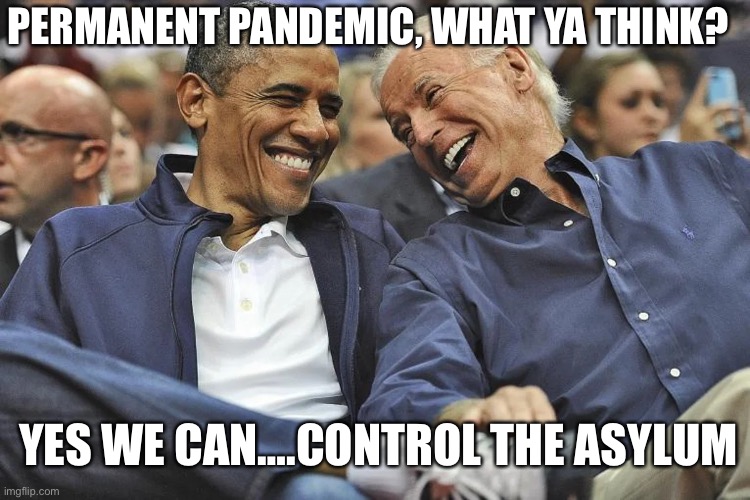 PERMANENT PANDEMIC, WHAT YA THINK? YES WE CAN….CONTROL THE ASYLUM | image tagged in joe biden | made w/ Imgflip meme maker