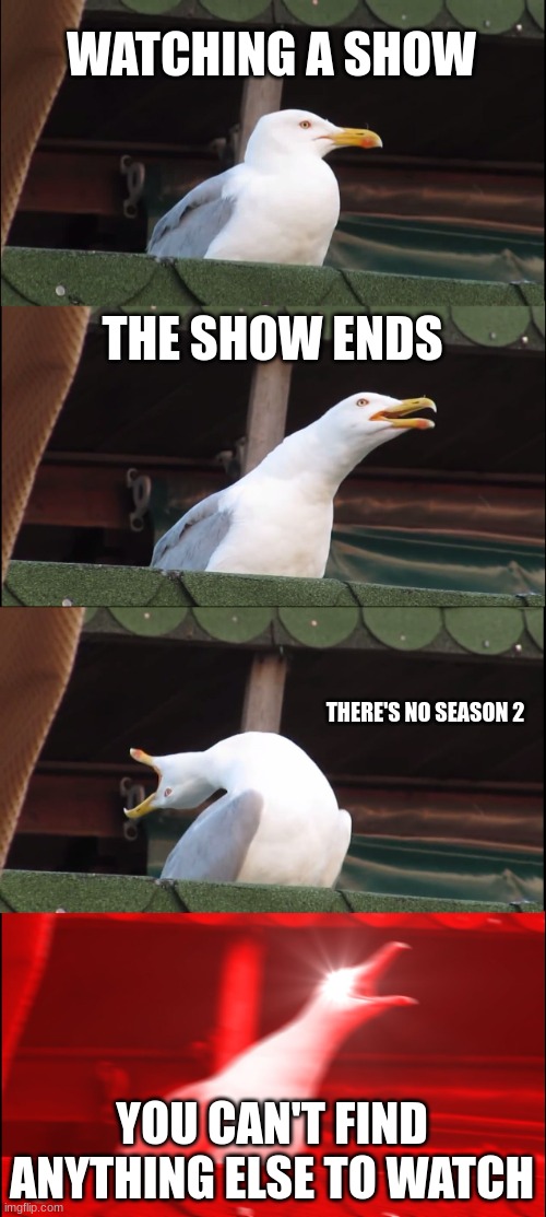 It was a good show... | WATCHING A SHOW; THE SHOW ENDS; THERE'S NO SEASON 2; YOU CAN'T FIND ANYTHING ELSE TO WATCH | image tagged in memes,inhaling seagull | made w/ Imgflip meme maker