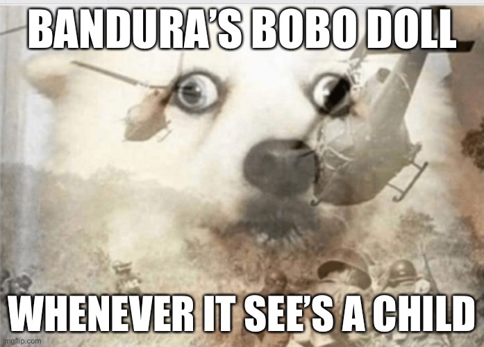 Psychology Meme (Albert Bandura) | BANDURA’S BOBO DOLL; WHENEVER IT SEE’S A CHILD | image tagged in ptsd dog | made w/ Imgflip meme maker