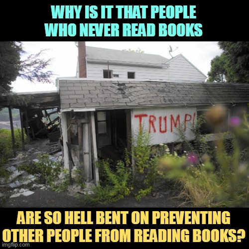 WHY IS IT THAT PEOPLE WHO NEVER READ BOOKS; ARE SO HELL BENT ON PREVENTING OTHER PEOPLE FROM READING BOOKS? | image tagged in books,burning,idiots,fools,jerks | made w/ Imgflip meme maker