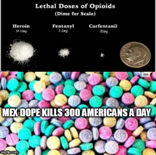 MEX DOPE KILLS 300 AMERICANS A DAY | image tagged in mex dope kills 300 americans a day | made w/ Imgflip meme maker