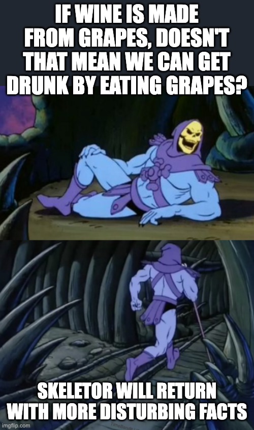 hmmmm | IF WINE IS MADE FROM GRAPES, DOESN'T THAT MEAN WE CAN GET DRUNK BY EATING GRAPES? SKELETOR WILL RETURN WITH MORE DISTURBING FACTS | image tagged in disturbing facts skeletor,hmmm,skeletor,wine,expanding brain,yeah this is big brain time | made w/ Imgflip meme maker