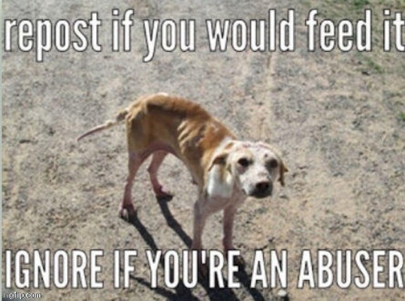i aint no abuser im feedin that dawg some gud shit | image tagged in repost | made w/ Imgflip meme maker