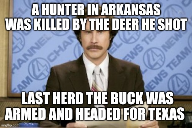 Herd of deer? | A HUNTER IN ARKANSAS WAS KILLED BY THE DEER HE SHOT; LAST HERD THE BUCK WAS ARMED AND HEADED FOR TEXAS | image tagged in memes,ron burgundy | made w/ Imgflip meme maker