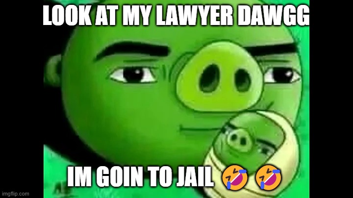 My lawyer dawggg ??? | LOOK AT MY LAWYER DAWGG; IM GOIN TO JAIL 🤣🤣 | image tagged in memes,funny | made w/ Imgflip meme maker