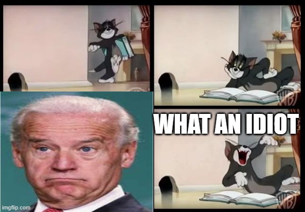 (Enter text here) | WHAT AN IDIOT | image tagged in memes,i'm the dumbest man alive,funny meme,tom and jerry book,joe biden | made w/ Imgflip meme maker