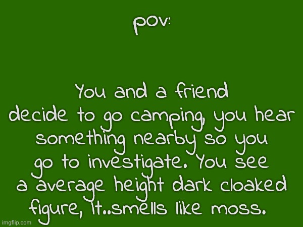 any rp, if romance males preferred ^^ | pov:; You and a friend decide to go camping, you hear something nearby so you go to investigate. You see a average height dark cloaked figure, It..smells like moss. | made w/ Imgflip meme maker