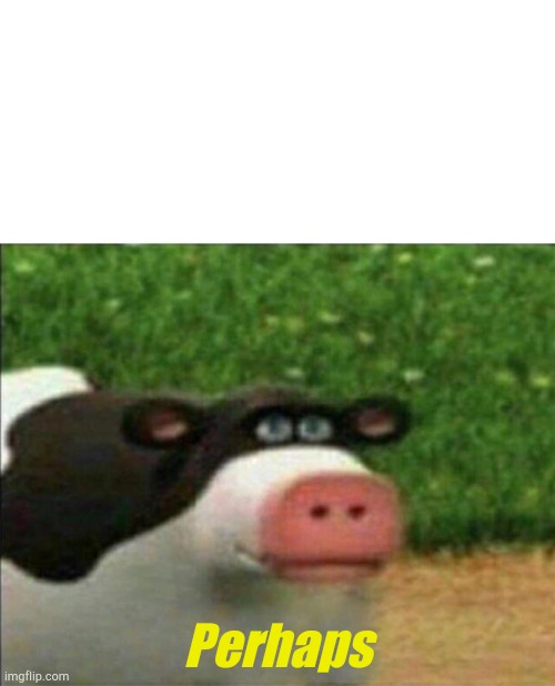 Perhaps cow | Perhaps | image tagged in perhaps cow | made w/ Imgflip meme maker