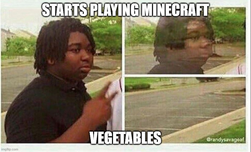 Black guy disappearing | STARTS PLAYING MINECRAFT; VEGETABLES | image tagged in black guy disappearing | made w/ Imgflip meme maker