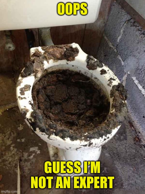 toilet | OOPS GUESS I’M NOT AN EXPERT | image tagged in toilet | made w/ Imgflip meme maker