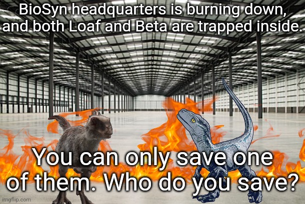 Choose wisely | BioSyn headquarters is burning down, and both Loaf and Beta are trapped inside. You can only save one of them. Who do you save? | image tagged in jurassic world dominion,moros,velociraptor,loaf,beta,cute | made w/ Imgflip meme maker