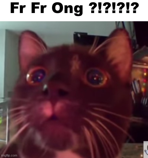 Fr Fr Ong ?!?!?!? | image tagged in blank white template | made w/ Imgflip meme maker