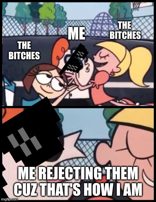 i get bitches | THE 
BITCHES; THE BITCHES; ME; ME REJECTING THEM CUZ THAT'S HOW I AM | image tagged in memes,say it again dexter | made w/ Imgflip meme maker