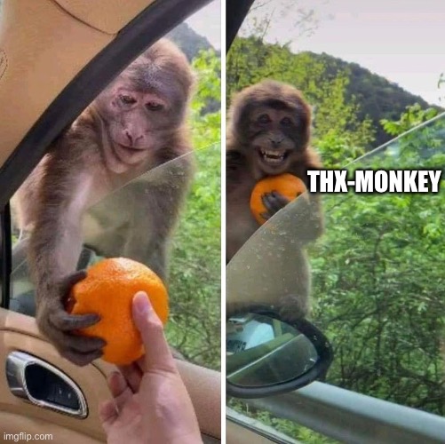 monkey getting an orange | THX-MONKEY | image tagged in monkey getting an orange,monkey,orange | made w/ Imgflip meme maker