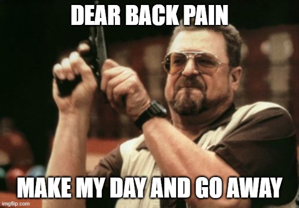 Am I The Only One Around Here | DEAR BACK PAIN; MAKE MY DAY AND GO AWAY | image tagged in memes,am i the only one around here | made w/ Imgflip meme maker