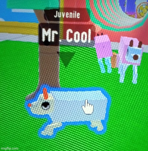 my wobble dog, Mr Cool | made w/ Imgflip meme maker