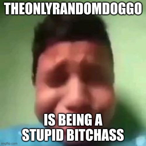 cryimg | THEONLYRANDOMDOGGO; IS BEING A STUPID BITCHASS | image tagged in cryimg | made w/ Imgflip meme maker