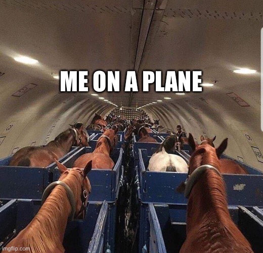 ME ON A PLANE | made w/ Imgflip meme maker