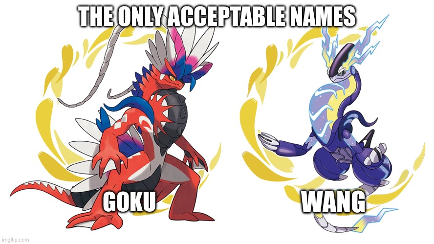 THE ONLY ACCEPTABLE NAMES; GOKU; WANG | made w/ Imgflip meme maker