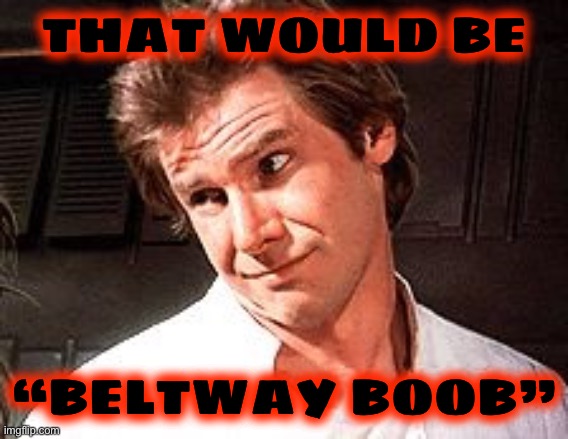 Snarky Solo | THAT WOULD BE “BELTWAY BOOB” | image tagged in snarky solo | made w/ Imgflip meme maker