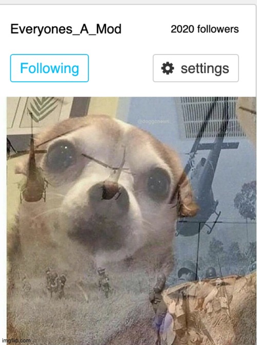 No explanation needed | image tagged in ptsd chihuahua | made w/ Imgflip meme maker