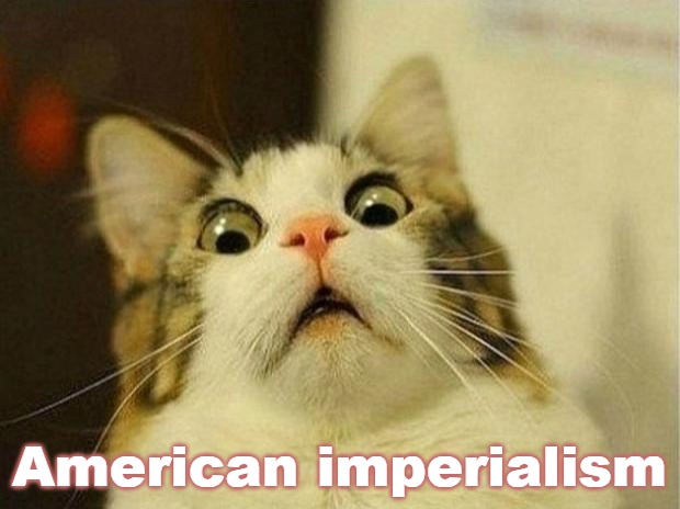 Scared Cat Meme | American imperialism | image tagged in memes,scared cat,slavic | made w/ Imgflip meme maker