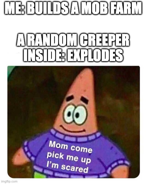 O, NO. | ME: BUILDS A MOB FARM; A RANDOM CREEPER INSIDE: EXPLODES | image tagged in patrick mom come pick me up i'm scared | made w/ Imgflip meme maker