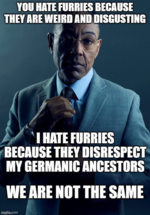 we are not the same in views | YOU HATE FURRIES BECAUSE THEY ARE WEIRD AND DISGUSTING; I HATE FURRIES BECAUSE THEY DISRESPECT MY GERMANIC ANCESTORS | image tagged in we are not the same | made w/ Imgflip meme maker