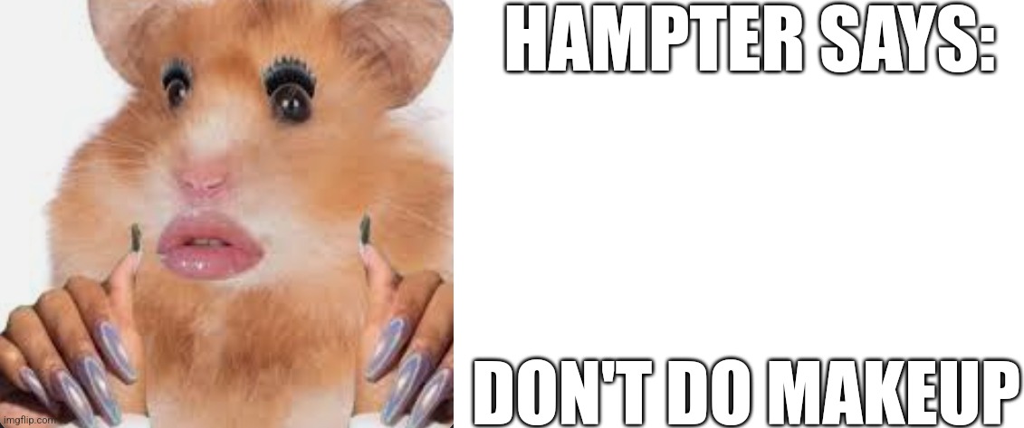 Hampter Quote #6 | HAMPTER SAYS:; DON'T DO MAKEUP | image tagged in hampter,quotes,dont be a material girl,i look ugly,how do i remove makeup,help | made w/ Imgflip meme maker