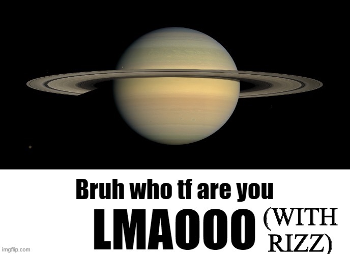 Bruh who tf are you LMAOOO | (WITH RIZZ) | image tagged in bruh who tf are you lmaooo | made w/ Imgflip meme maker