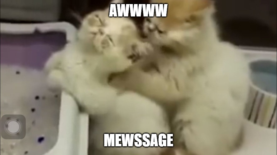 Kitty massage | AWWWW; MEWSSAGE | image tagged in kitty massage | made w/ Imgflip meme maker