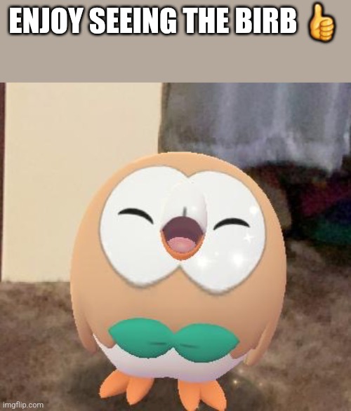 Happy Rowlet | ENJOY SEEING THE BIRB 👍 | image tagged in happy rowlet | made w/ Imgflip meme maker