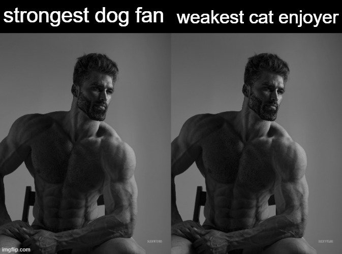 settled the argument | weakest cat enjoyer; strongest dog fan | image tagged in giga chad | made w/ Imgflip meme maker