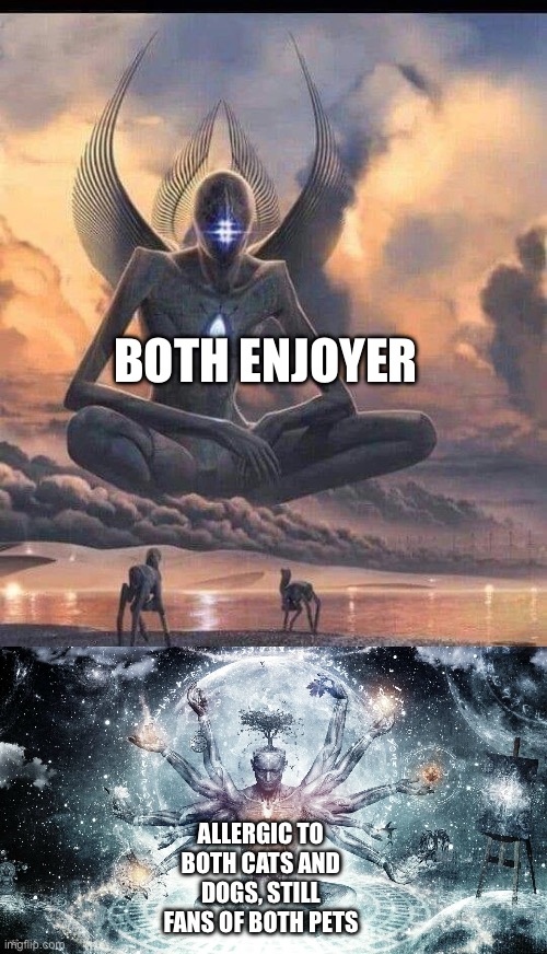 BOTH ENJOYER ALLERGIC TO BOTH CATS AND DOGS, STILL FANS OF BOTH PETS | image tagged in ascended god,ascendant human | made w/ Imgflip meme maker