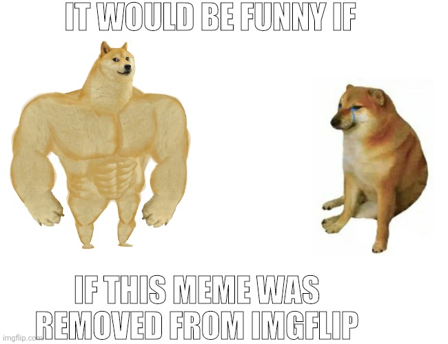 Buff doge Vs cheems is nothing but a Virgin Vs chad wannabe | IT WOULD BE FUNNY IF; IF THIS MEME WAS REMOVED FROM IMGFLIP | image tagged in memes,buff doge vs cheems,virgin vs chad | made w/ Imgflip meme maker