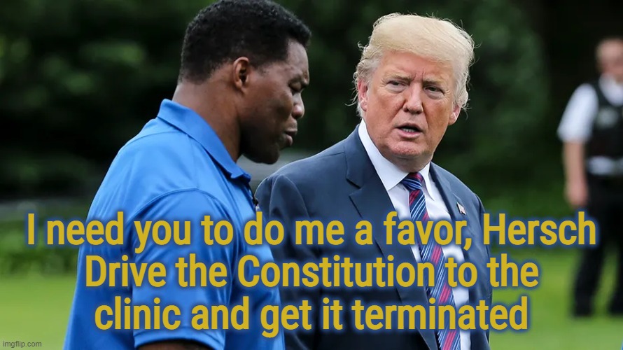 oof | I need you to do me a favor, Hersch
Drive the Constitution to the
clinic and get it terminated | image tagged in herschel walker trump,oof size large | made w/ Imgflip meme maker