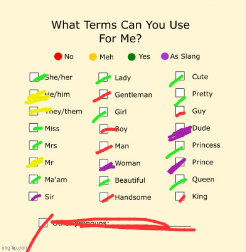 Pronouns Sheet | image tagged in pronouns sheet | made w/ Imgflip meme maker